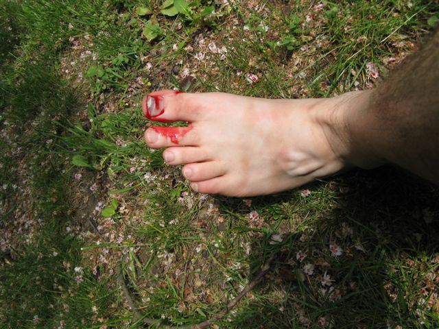 2009 Asparn-Z Kurt 0722